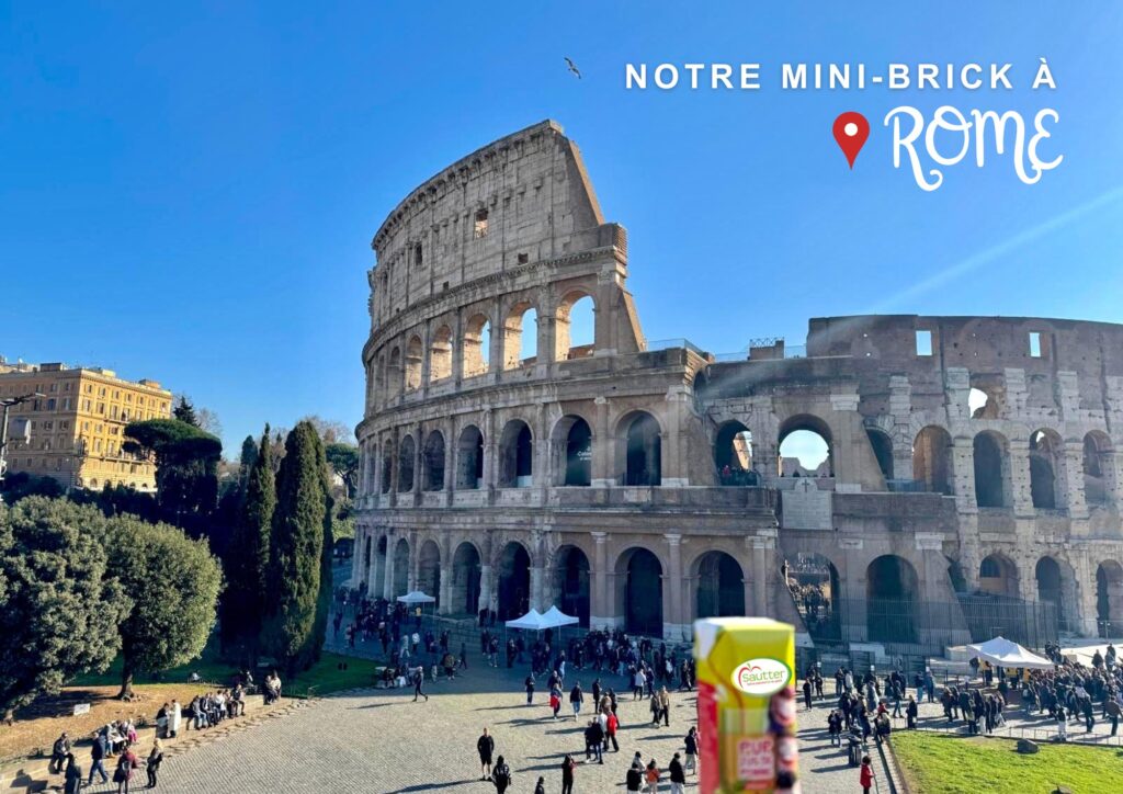 Les voyages de notre mini-brick