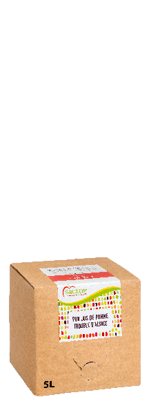 Bib jus de pomme trouble 5L